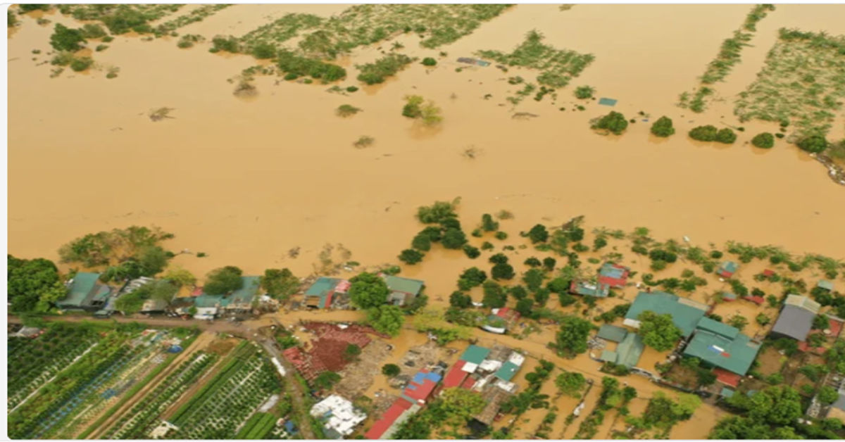 Aerial drone view of flood-affected farmlands in Haryana